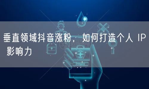 垂直领域抖音涨粉，如何打造个人 IP 影响力