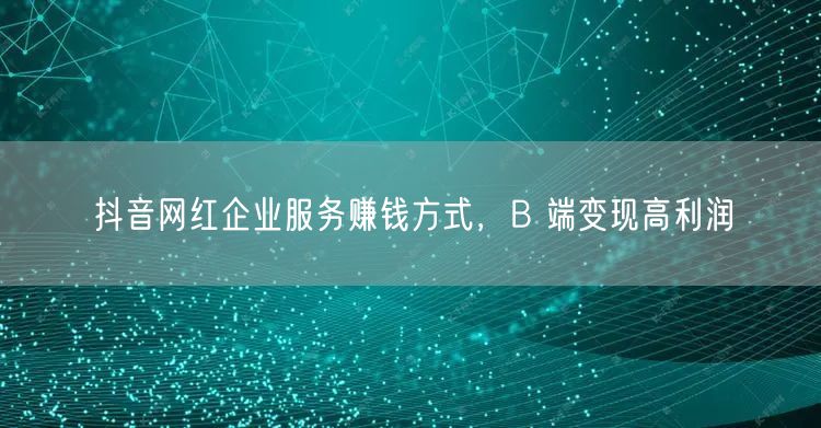 抖音网红企业服务赚钱方式，B 端变现高利润