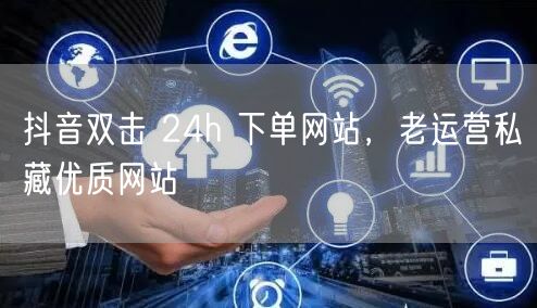 抖音双击 24h 下单网站，老运营私藏优质网站