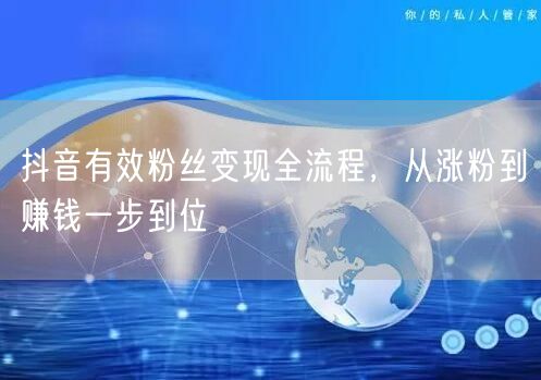 抖音有效粉丝变现全流程，从涨粉到赚钱一步到位
