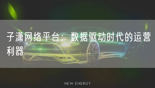 子潇网络平台：数据驱动时代的运营利器