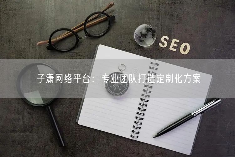 子潇网络平台：专业团队打造定制化方案