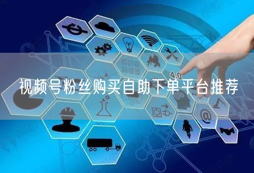 视频号粉丝购买自助下单平台推荐