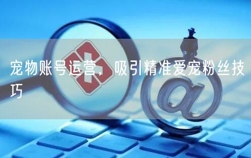宠物账号运营，吸引精准爱宠粉丝技巧