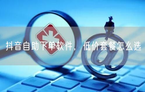 抖音自助下单软件，低价套餐怎么选