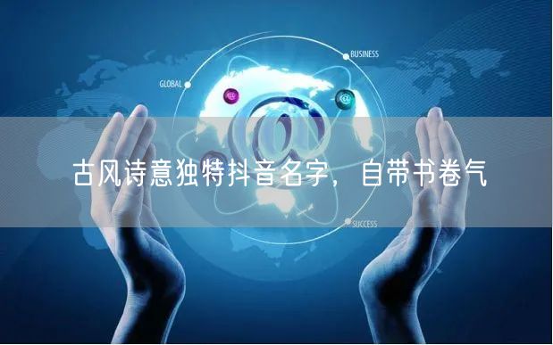 古风诗意独特抖音名字，自带书卷气