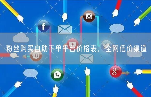 粉丝购买自助下单平台价格表，全网低价渠道