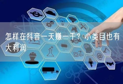 怎样在抖音一天赚一千？小类目也有大利润