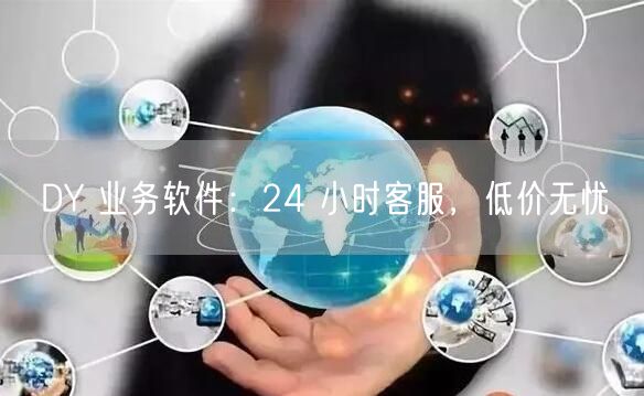 DY 业务软件：24 小时客服，低价无忧