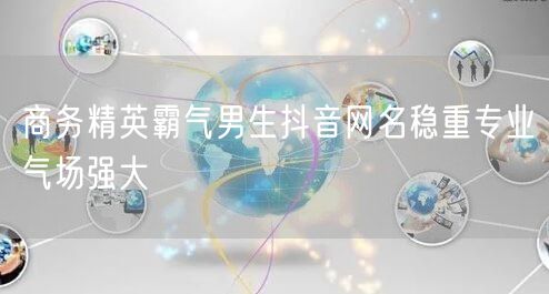 商务精英霸气男生抖音网名稳重专业气场强大