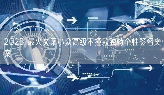 2025 最火文案小众高级不撞款独特个性签名文案