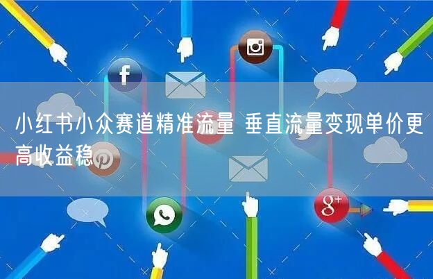 小红书小众赛道精准流量 垂直流量变现单价更高收益稳