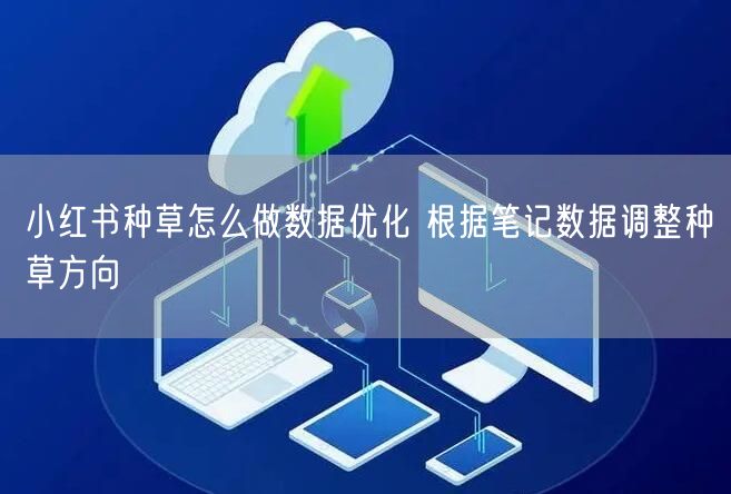 小红书种草怎么做数据优化 根据笔记数据调整种草方向