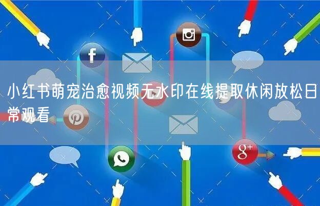 小红书萌宠治愈视频无水印在线提取休闲放松日常观看