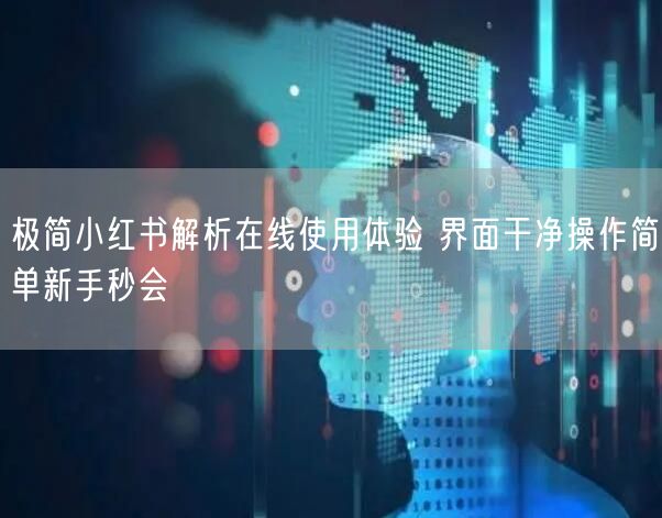 极简小红书解析在线使用体验 界面干净操作简单新手秒会