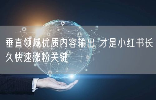 垂直领域优质内容输出 才是小红书长久快速涨粉关键