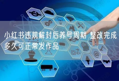 小红书违规解封后养号周期 整改完成多久可正常发作品