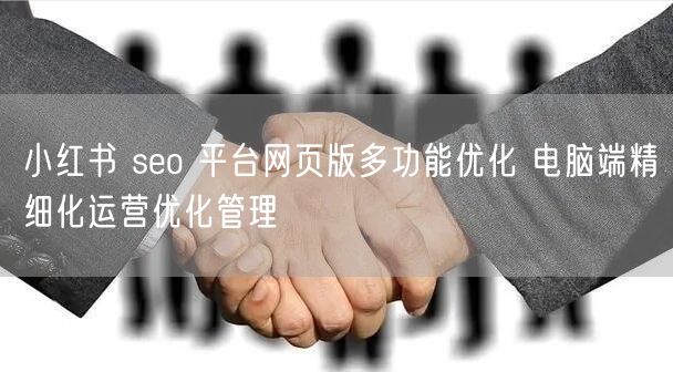 小红书 seo 平台网页版多功能优化 电脑端精细化运营优化管