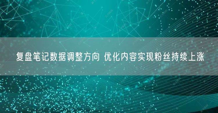 复盘笔记数据调整方向 优化内容实现粉丝持续上涨
