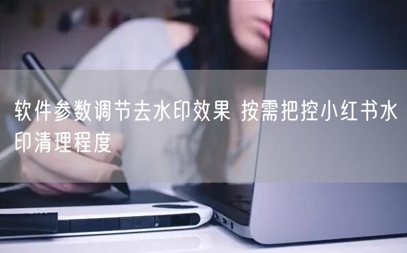 软件参数调节去水印效果 按需把控小红书水印清理程度