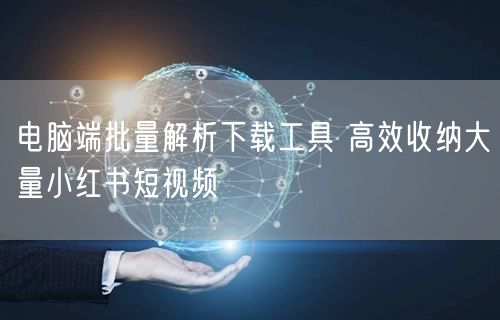 电脑端批量解析下载工具 高效收纳大量小红书短视频