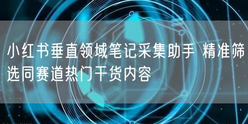 小红书垂直领域笔记采集助手 精准筛选同赛道热门干货内容