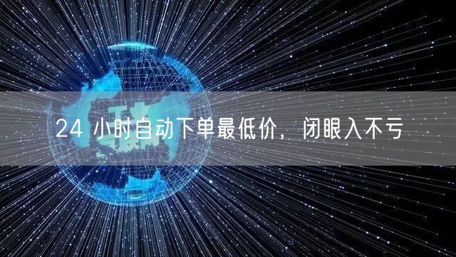 24 小时自动下单最低价，闭眼入不亏