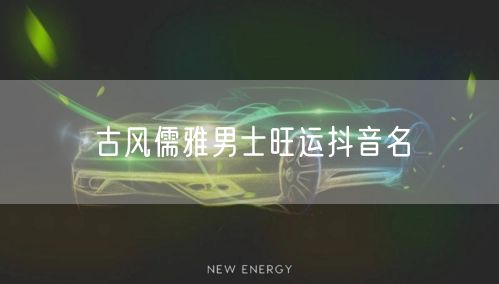 古风儒雅男士旺运抖音名