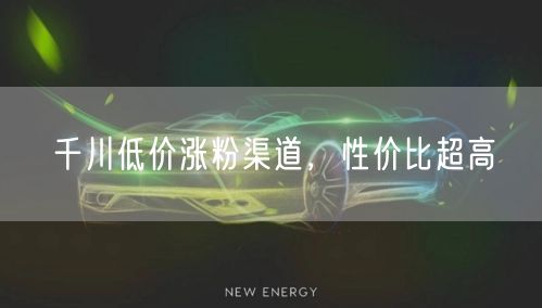 千川低价涨粉渠道，性价比超高