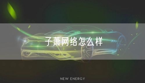 子萧网络怎么样