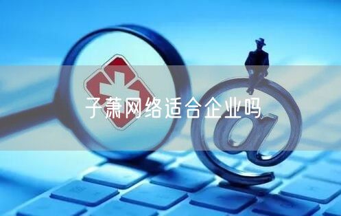 子萧网络适合企业吗